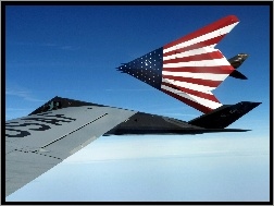 USA, F-117 Nighthawk, Flaga